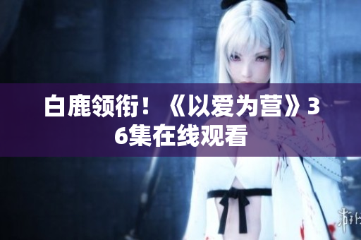 白鹿领衔！《以爱为营》36集在线观看