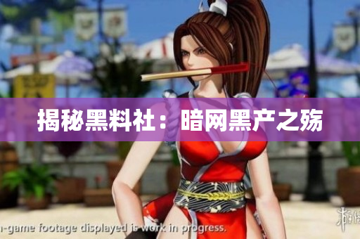 揭秘黑料社：暗网黑产之殇