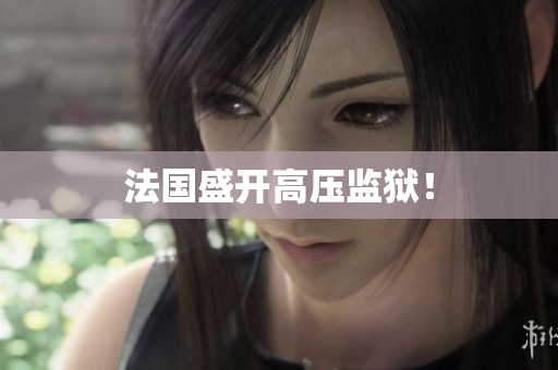法国盛开高压监狱！