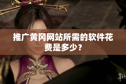 推广黄冈网站所需的软件花费是多少？