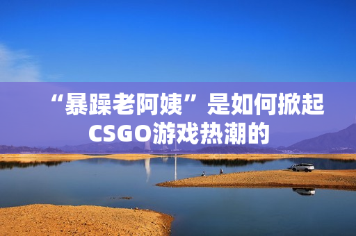 “暴躁老阿姨”是如何掀起CSGO游戏热潮的
