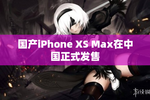 国产iPhone XS Max在中国正式发售