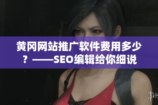 黄冈网站推广软件费用多少？——SEO编辑给你细说