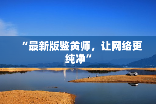 “最新版鉴黄师，让网络更纯净”