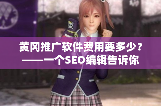 黄冈推广软件费用要多少？——一个SEO编辑告诉你