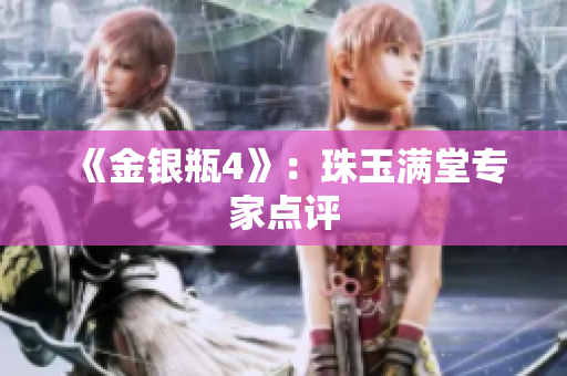 《金银瓶4》：珠玉满堂专家点评