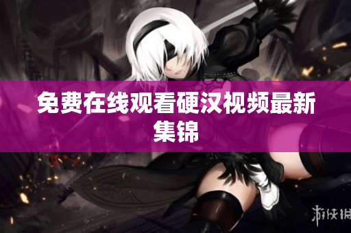 免费在线观看硬汉视频最新集锦