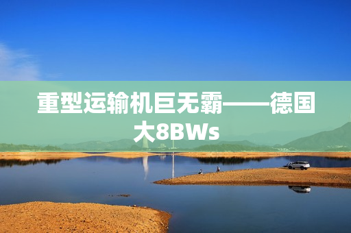 重型运输机巨无霸——德国大8BWs