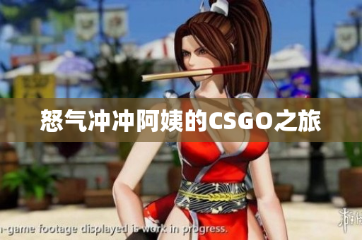 怒气冲冲阿姨的CSGO之旅