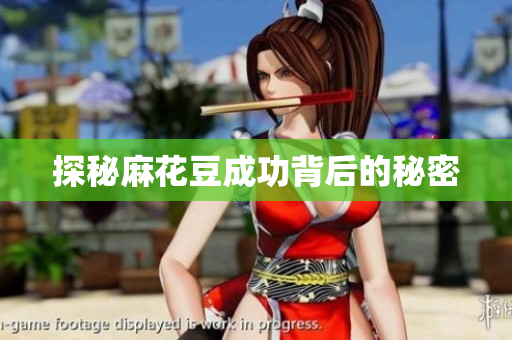 探秘麻花豆成功背后的秘密