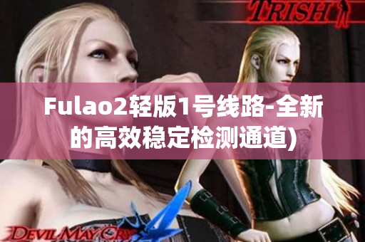 Fulao2轻版1号线路-全新的高效稳定检测通道)