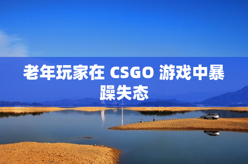 老年玩家在 CSGO 游戏中暴躁失态