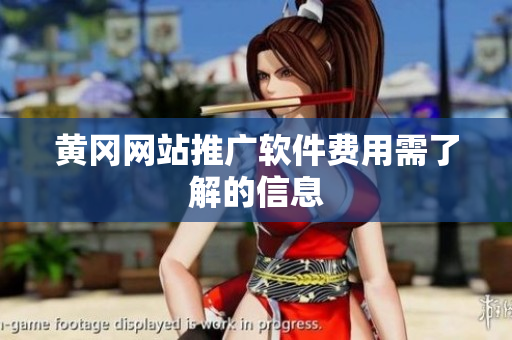 黄冈网站推广软件费用需了解的信息
