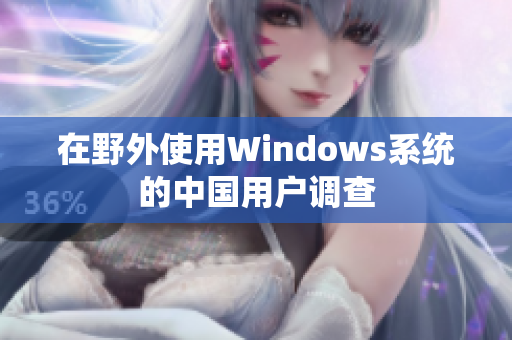 在野外使用Windows系统的中国用户调查