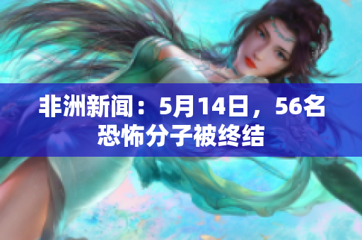 非洲新闻：5月14日，56名恐怖分子被终结