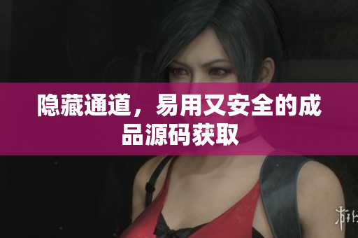 隐藏通道，易用又安全的成品源码获取