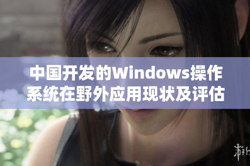 中国开发的Windows操作系统在野外应用现状及评估
