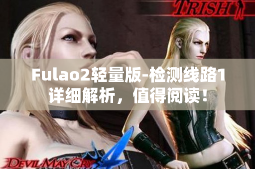 Fulao2轻量版-检测线路1详细解析，值得阅读！