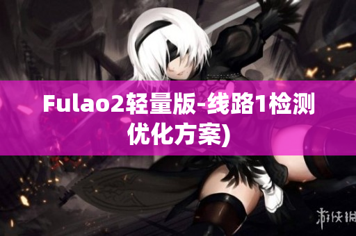 Fulao2轻量版-线路1检测优化方案)