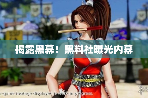 揭露黑幕！黑料社曝光内幕