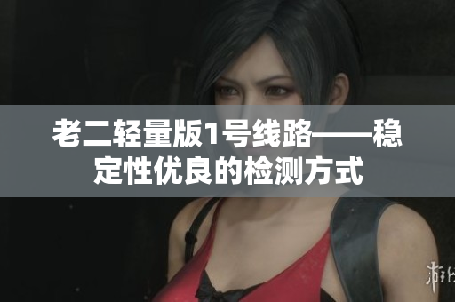 老二轻量版1号线路——稳定性优良的检测方式