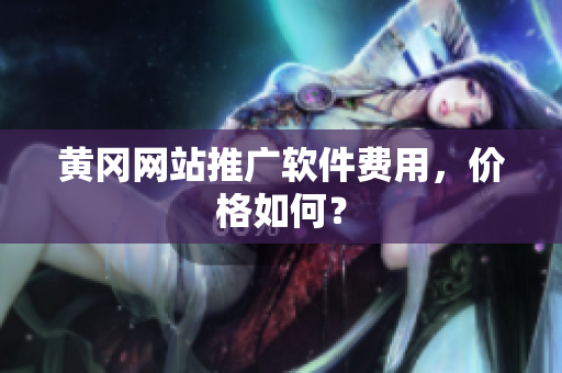 黄冈网站推广软件费用，价格如何？