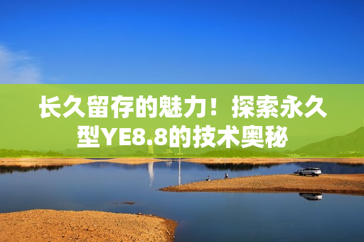 长久留存的魅力！探索永久型YE8.8的技术奥秘