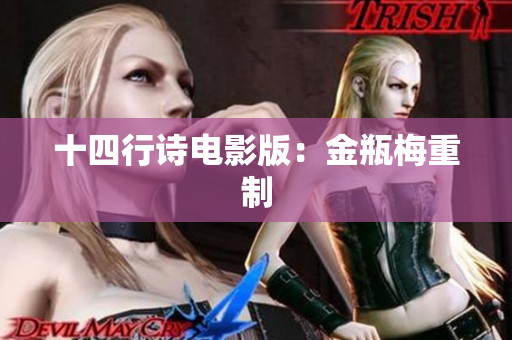 十四行诗电影版：金瓶梅重制