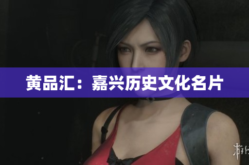 黄品汇：嘉兴历史文化名片